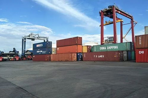 3月24日深圳大事件聚焦 國(guó)際貨物運(yùn)輸代理行業(yè)迎來發(fā)展新機(jī)遇